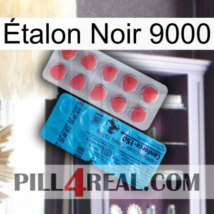 Étalon Noir 9000 new14